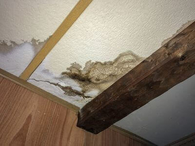 Professional water damage restoration services in Patterson